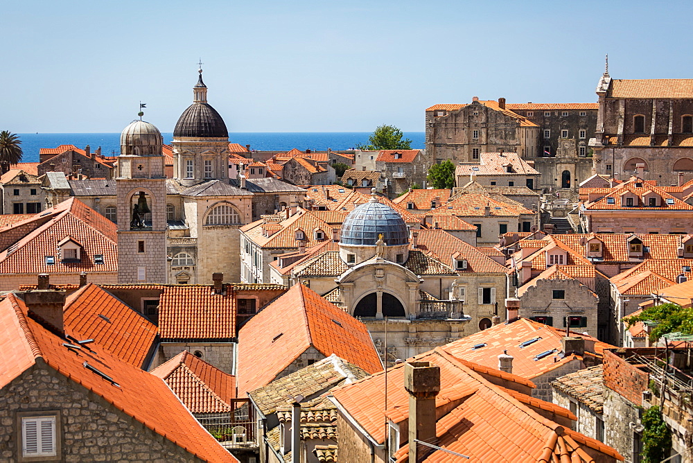 Looking across Dubrovnik's terracotta tiled rooftops, Dubrovnik, Croatia, Europe