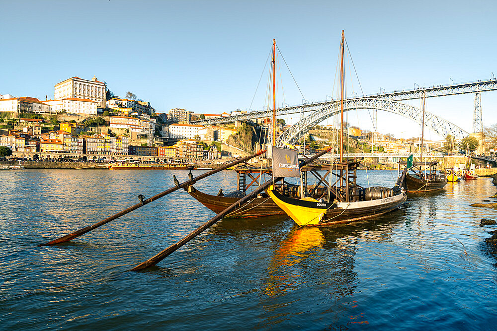 Boats of the Port Bodegas on the Douro River looking towards the Ribeira district of Porto, Portugal, Europe