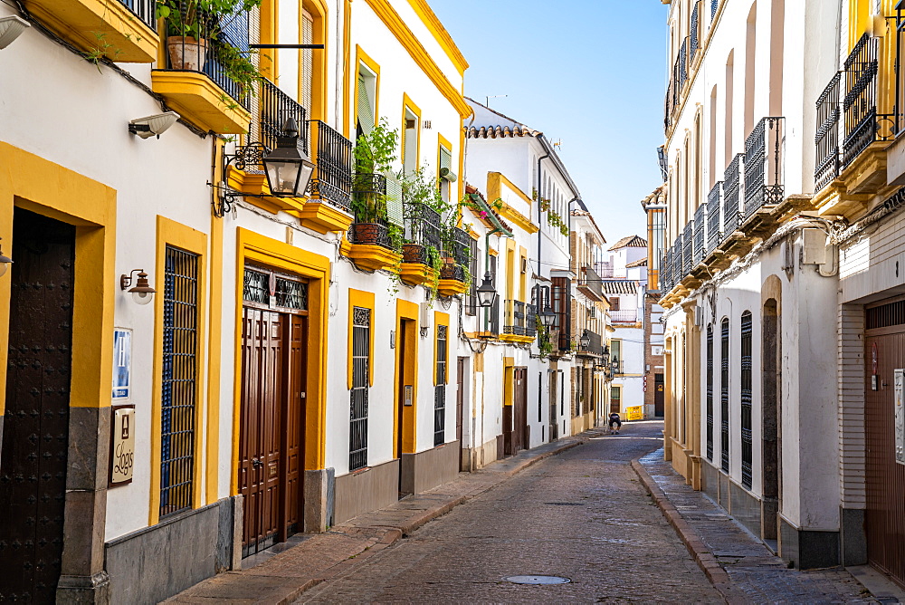 The white and yellow buildings of a typical Andalusian street in Cordoba, Andalusia, Spain, Europe