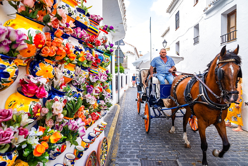 A horse and cart on a cobbled street, whitewashed walls and flowers in the Andalusia town of Mijas Pueblo, Costa de Sol, Andalusia, Spain, Europe