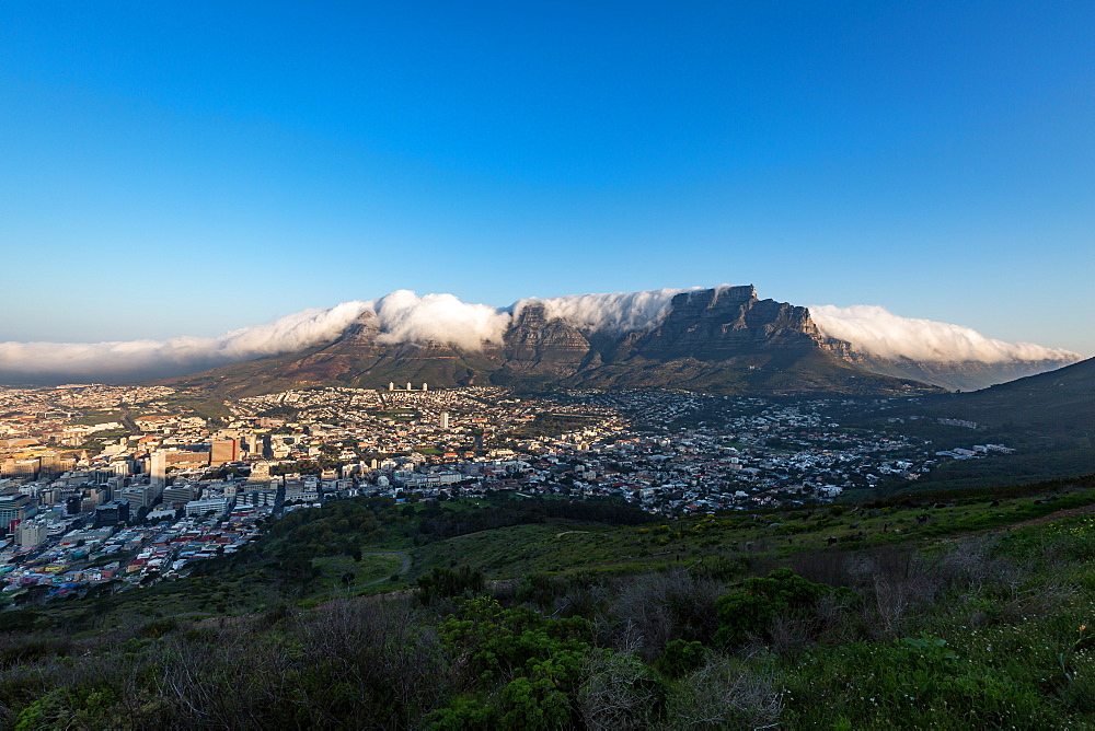 Table Mountain covered in a tablecloth of orographic clouds, Cape Town, South Africa, Africa