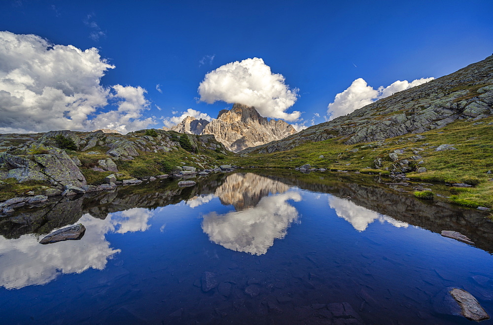 Rolle Pass, Cimon de la Pala reflected in a small lake, Dolomites, Veneto, Italy, Europe