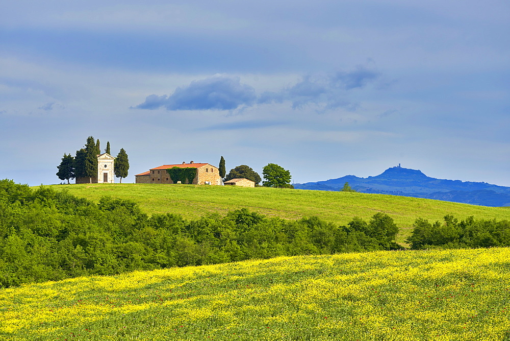 Vitaleta Chapel in spring, Val d'Orcia, UNESCO World Heritage Site, Tuscany, Italy, Europe