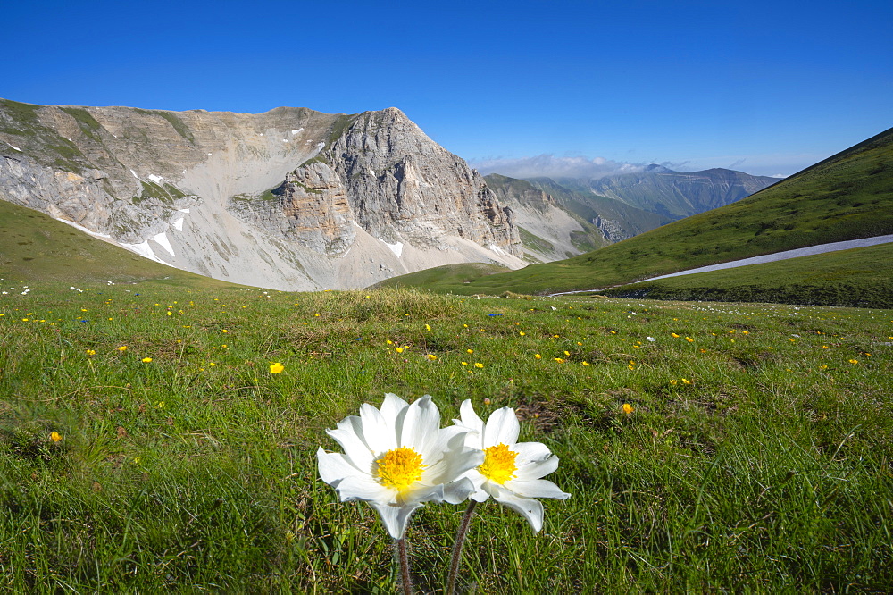 Mount Vettore in summer, Sibillini Mountains, Umbria, Italy, Europe