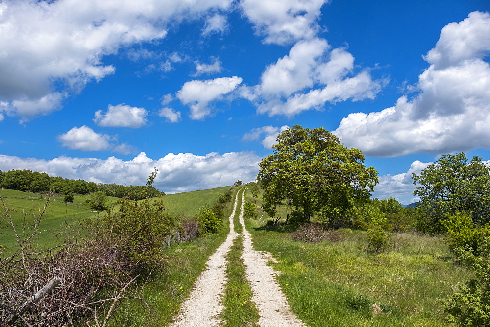 Countryside in spring, Gubbio, Umbria, Italy, Europe