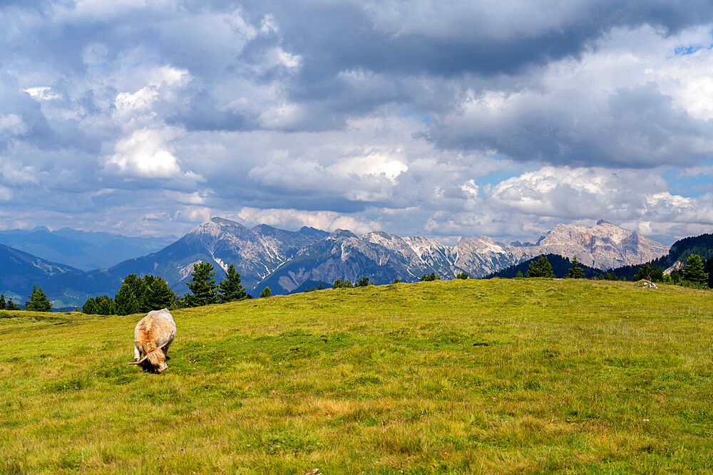 Odle mountain range, Erbe pass in summer, South Tyrol, Alto Adige, Dolomites, Italy, Europe