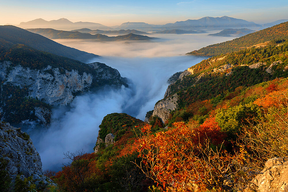 River Condigliano in the fog, Furlo Gorge, Marche, Italy, Europe