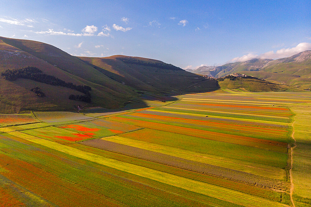 Aerial view of Piano Grande of Castelluccio di Norcia plateau in summer, Sibillini Mountain range, Apennines, Umbria, Italy, Europe