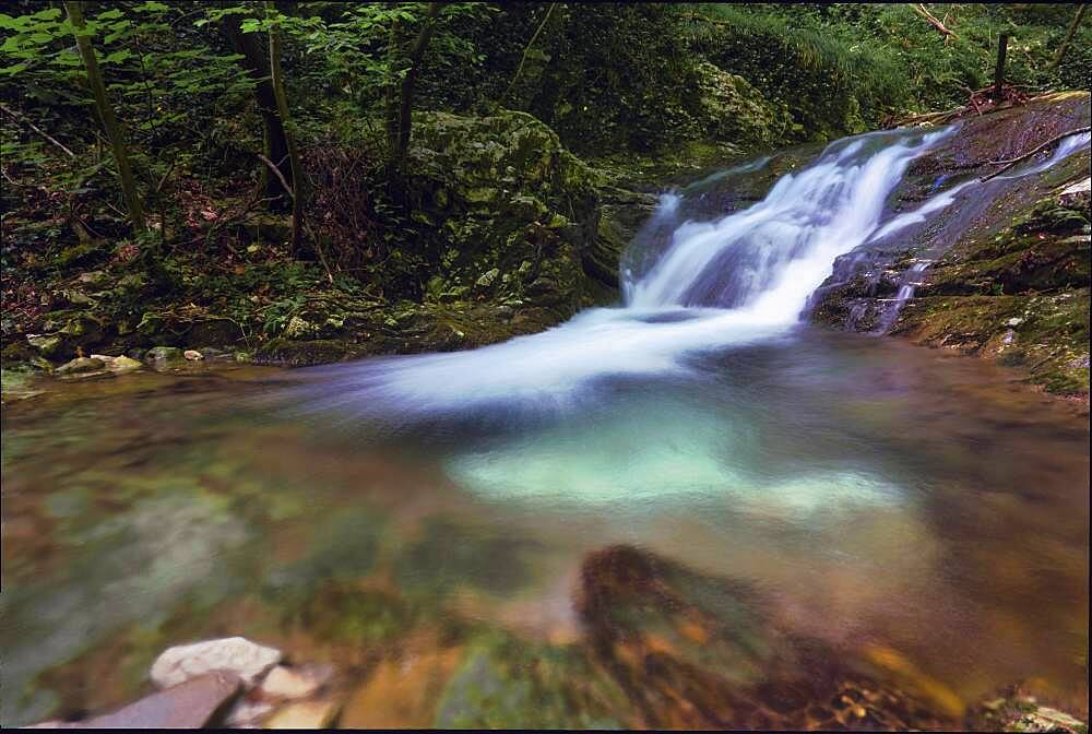 Waterfalls on Prisons River in summer, Prisons Valley, Mount Cucco Park, Apennines, Umbria, Italy, Europe