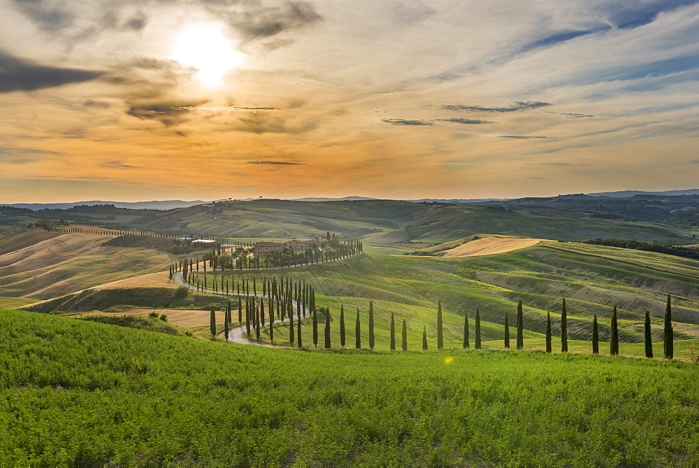 Baccoleno farmhouse, Val d'Orcia (Orcia Valley), UNESCO World Heritage Site, Tuscany, Italy, Europe