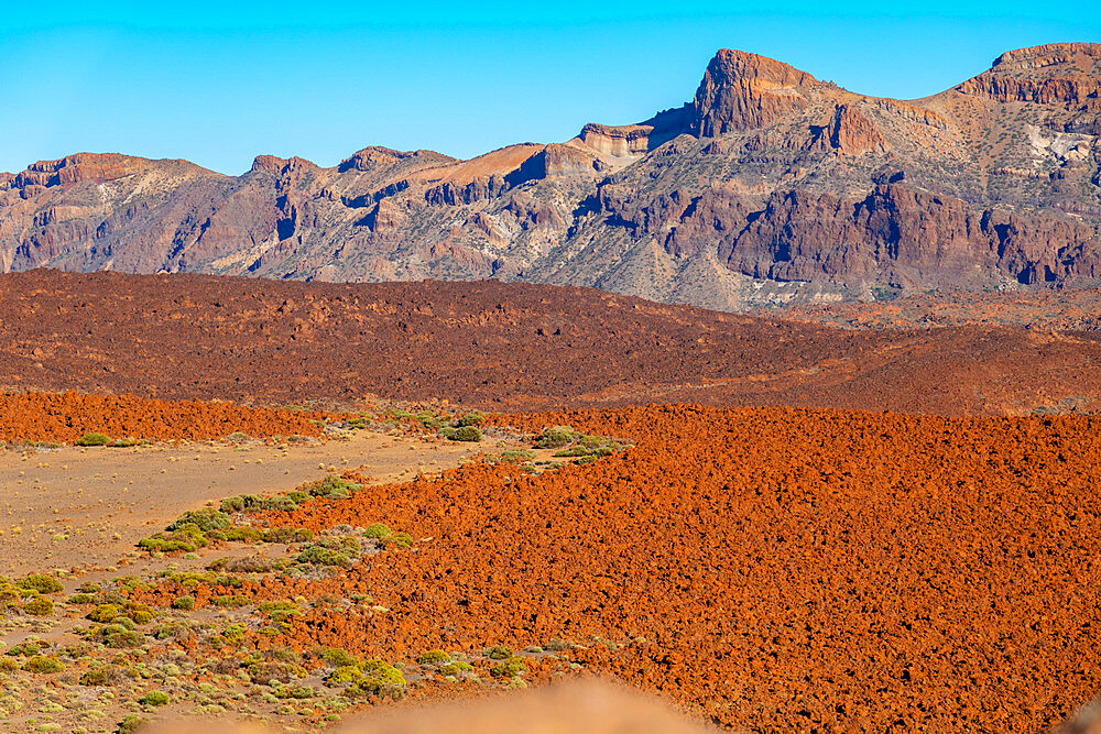 Mount Teide National Park, UNESCO World Heritage Site, Tenerife, Canary Islands, Spain, Atlantic, Europe