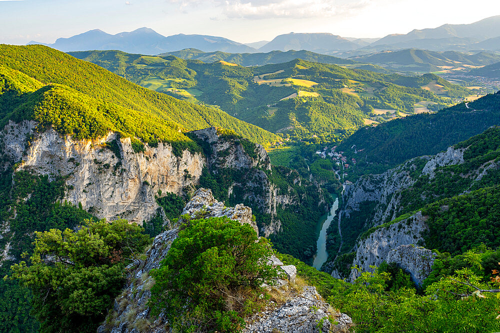 Aerial view of the gorge in summer at sunset, Furlo Gorge, Marche, Italy, Europe