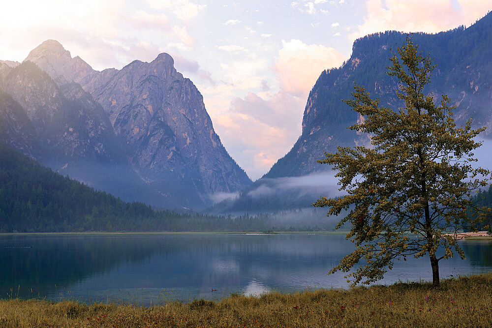 Lake Dobbiaco at sunrise in summer, Sud Tirol, Italy, Europe