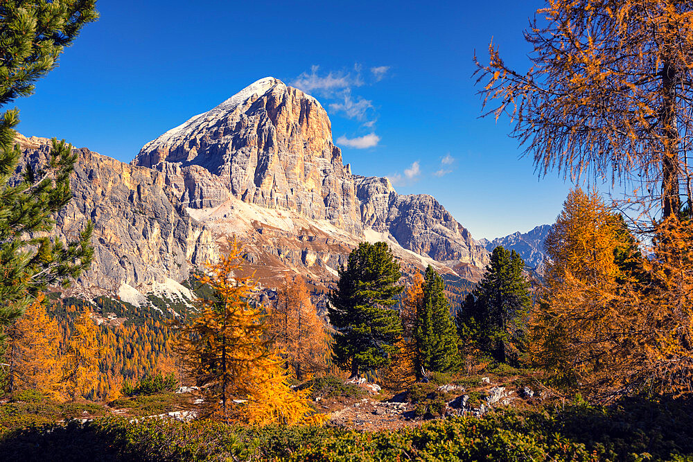 Tofana di Rozes in autumn, Falzarego Pass, Dolomites, Veneto, Italy, Europe