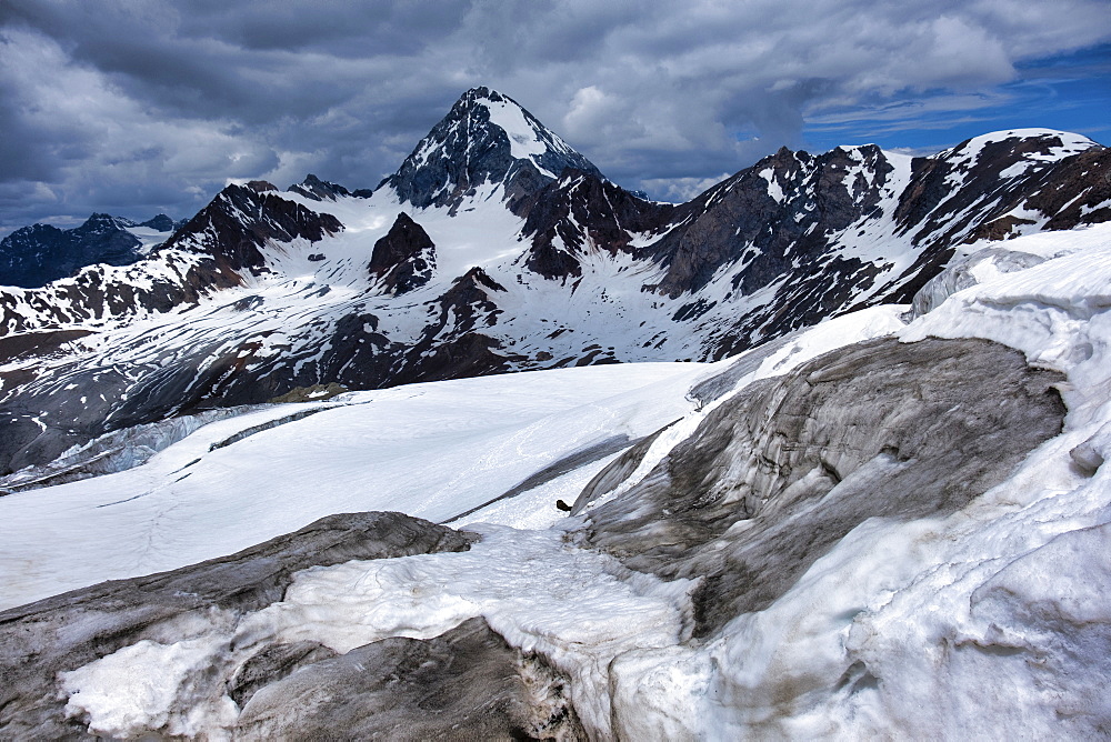 Mount Gran Zebru in early summer, Valfurva, Lombardy, Italy, Europe