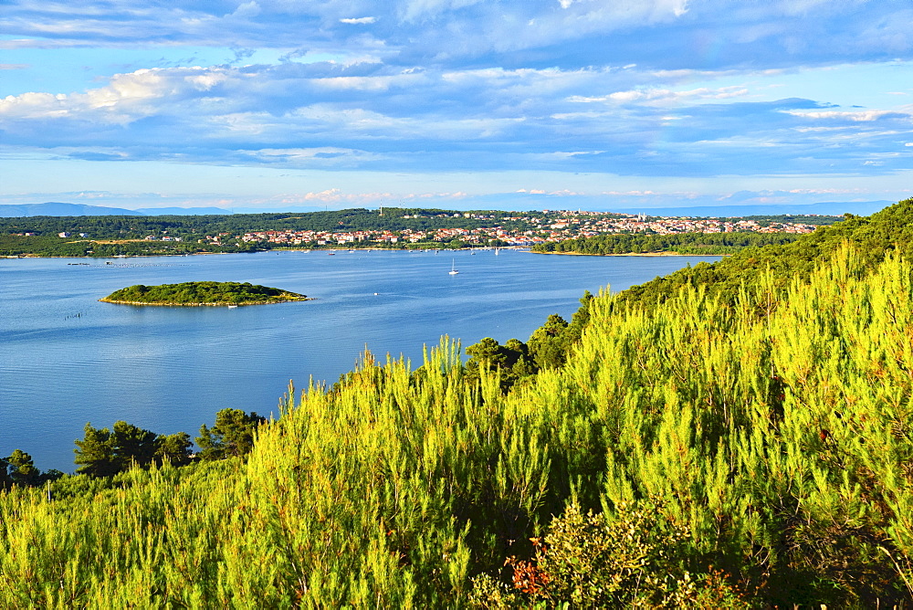 The town of Porer from Mount Kope, Kamenjak National Park, Istria, Croatia, Europe