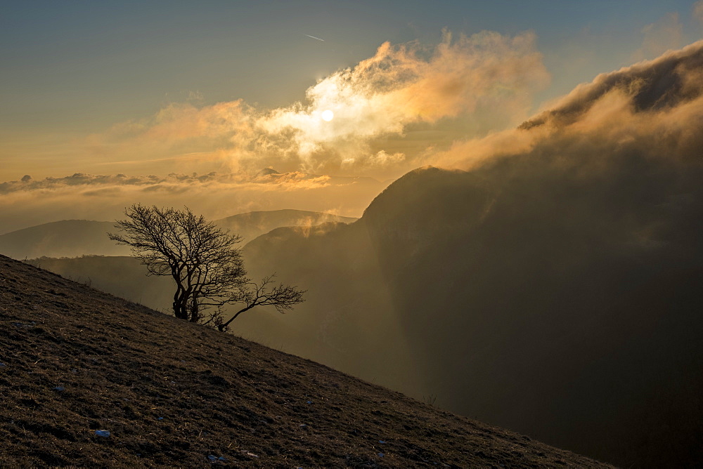 Sunrise on a lonely tree on mountain Motette, Apennines, Umbria, Italy, Europe