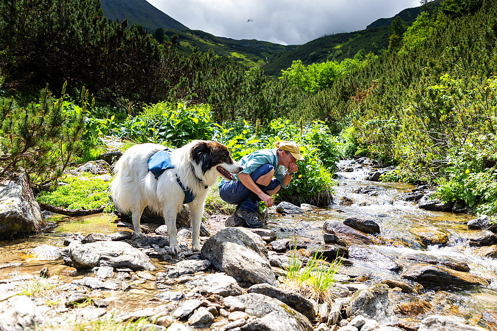 trekking with dog in Rodnei national park Romania