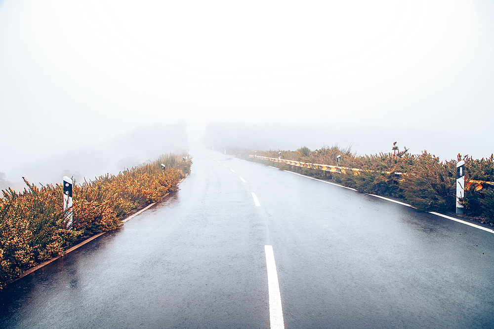 road on a foggy rainy day
