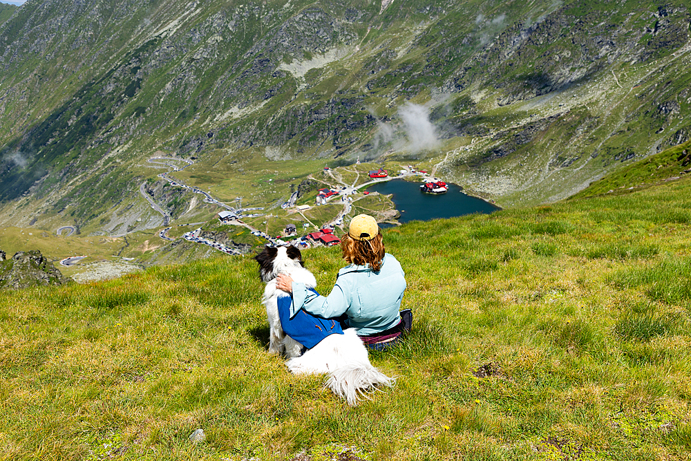 trekking with a dog in hogh mountains