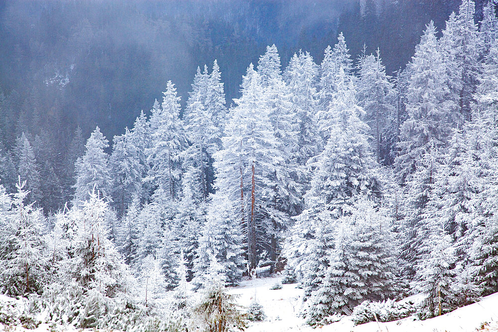 Ceahlau Massif in winter, Eastern Carpathians, Neamt County, Moldavia, Romania, Europe