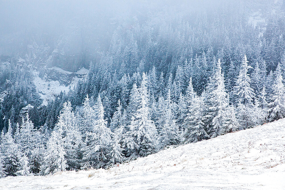 Ceahlau Massif in winter, Eastern Carpathians, Neamt County, Moldavia, Romania, Europe