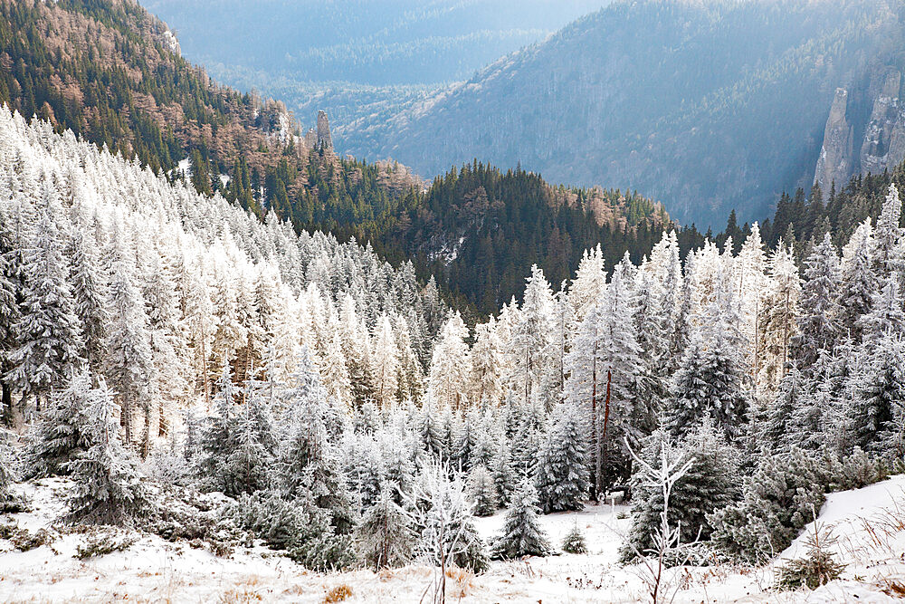 Ceahlau Massif in winter, Eastern Carpathians, Neamt County, Moldavia, Romania, Europe