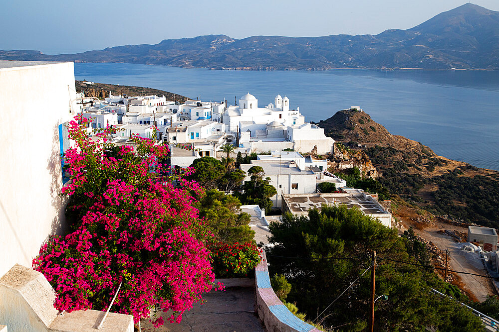 Old white town of Plaka and Milos Bay with colourful bougainvillea, Plaka, Milos, Cyclades, Aegean Sea, Greek Islands, Greece, Europe