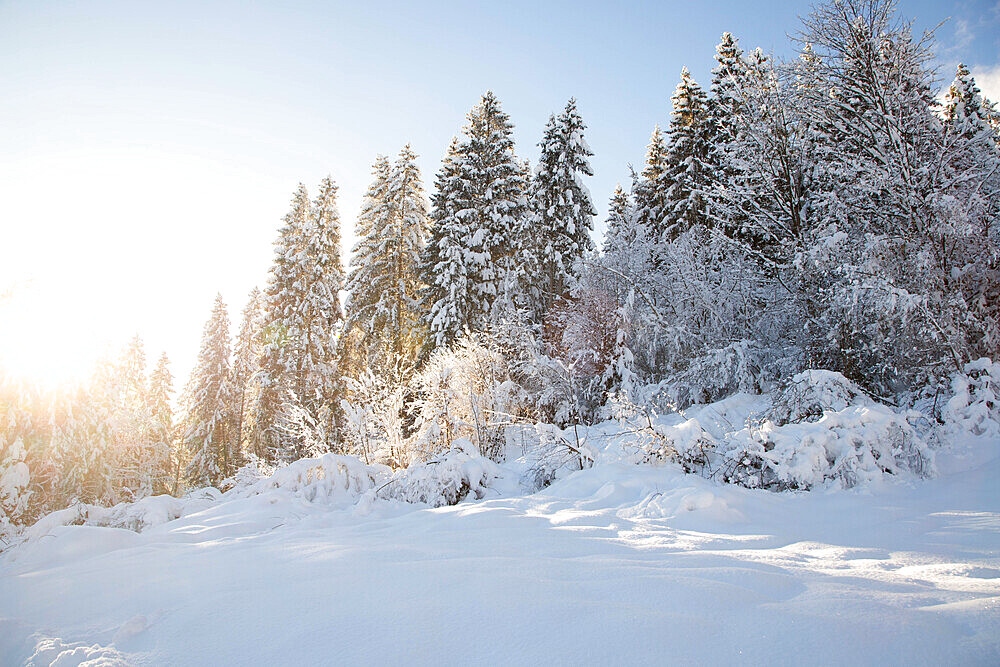 Wintertime with big snow in the Bavarian Alps, Garmish-Partenkirchen, Germany, Europe