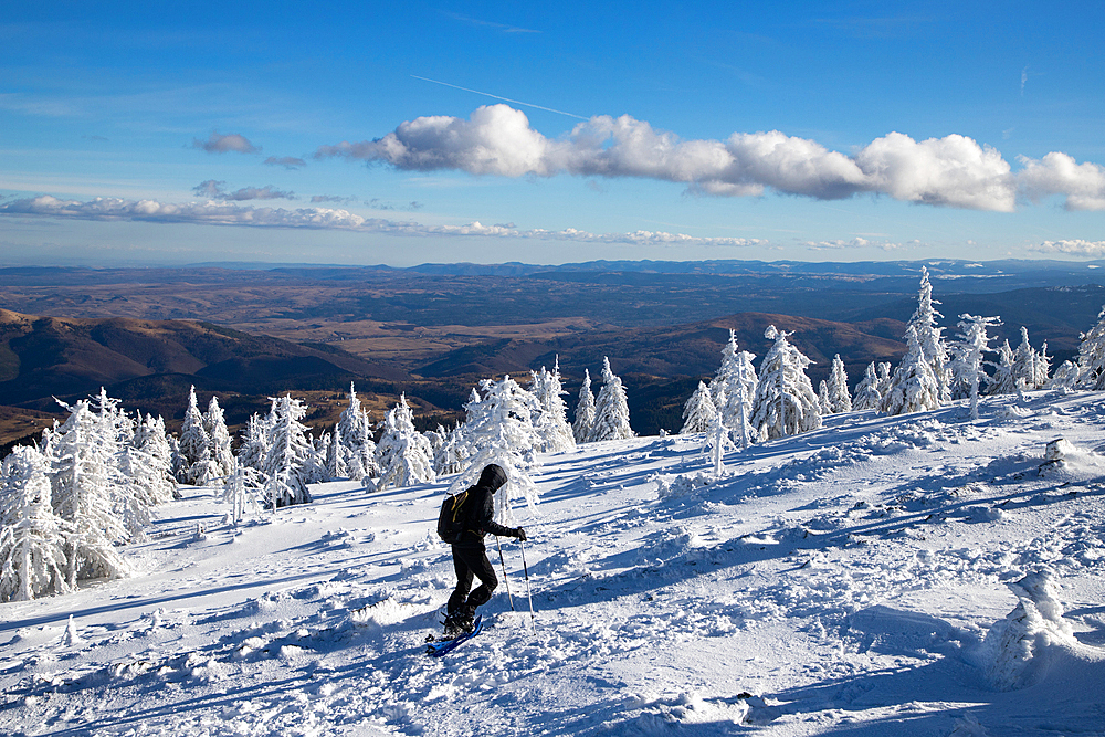 Frozen winter landscape, Vladeasa Mountains, Romania, Europe