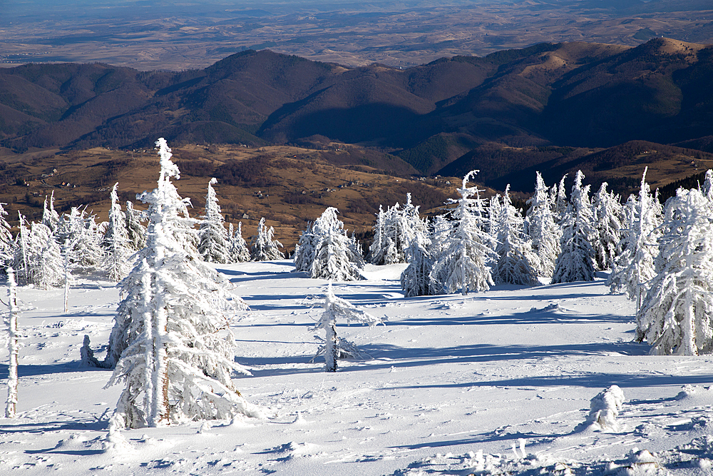 Frozen winter landscape, Vladeasa Mountains, Romania, Europe