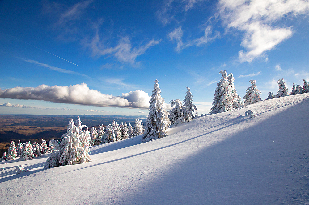 Frozen winter landscape, Vladeasa Mountains, Romania, Europe