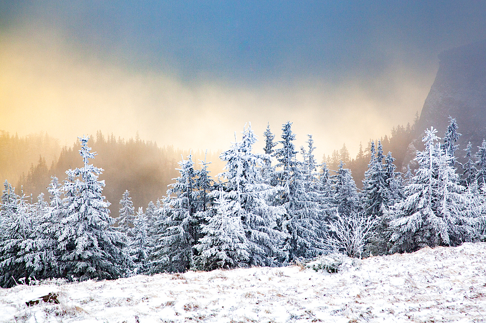 Winter landscape in Ceahlau mountains, Romania, Europe