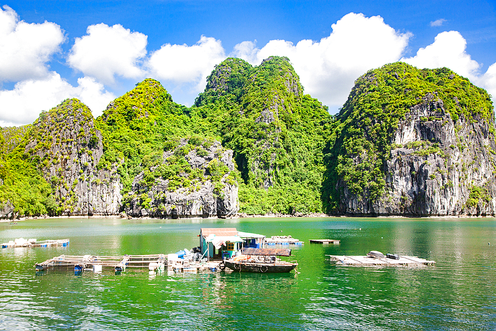 Ha Long Bay, UNESCO World Heritage Site, Vietnam, Indochina, Southeast Asia, Asia