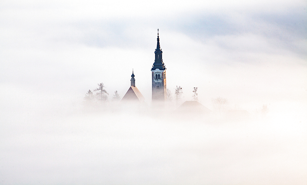 Misty morning, Lake Bled, Slovenia, Europe