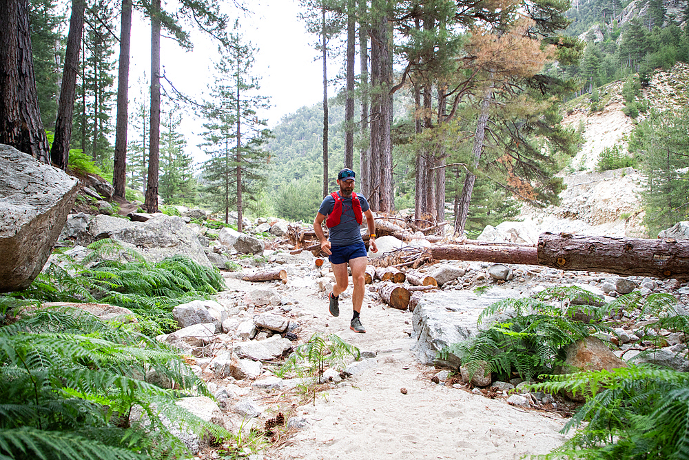 Trail runner on a mountain path, France