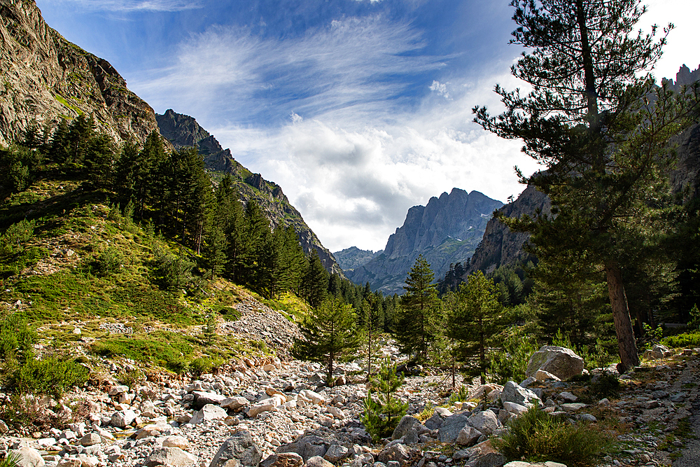 Mountain scenery, Island of Corsica, France