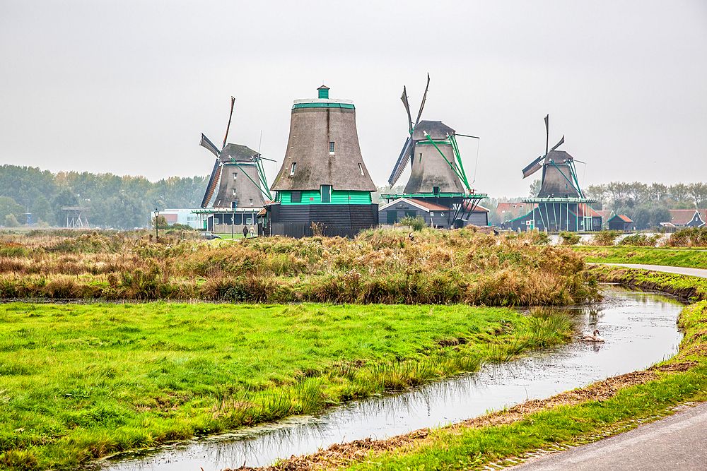 real working windmills in the suburbs of Amsterdam, the Netherlands