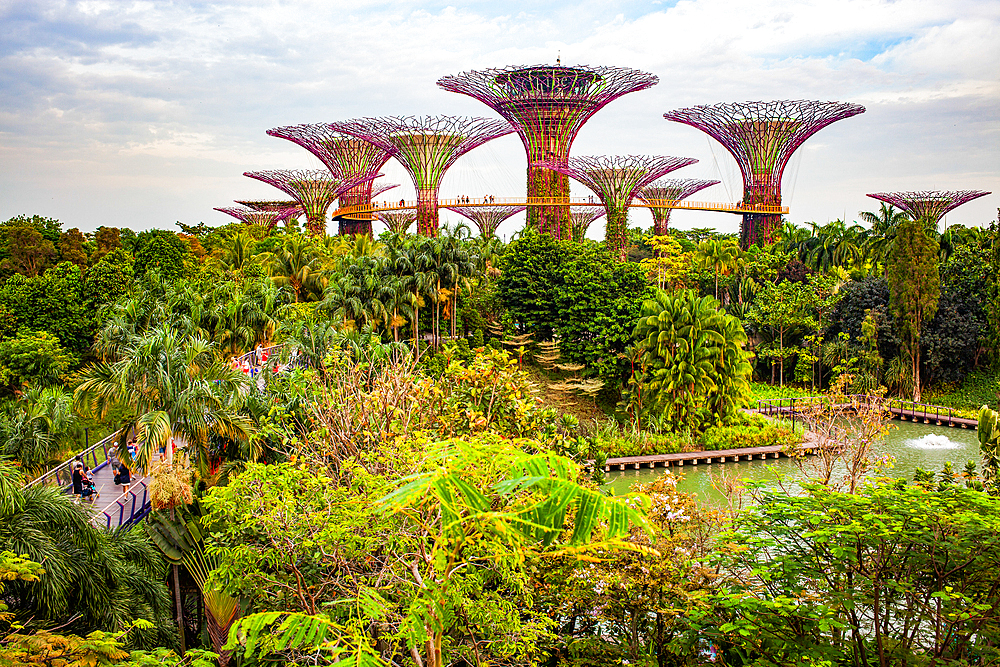 SINGAPORE, SINGAPORE - MARCH 2019: Supertrees in gardens by the bay, Singapore