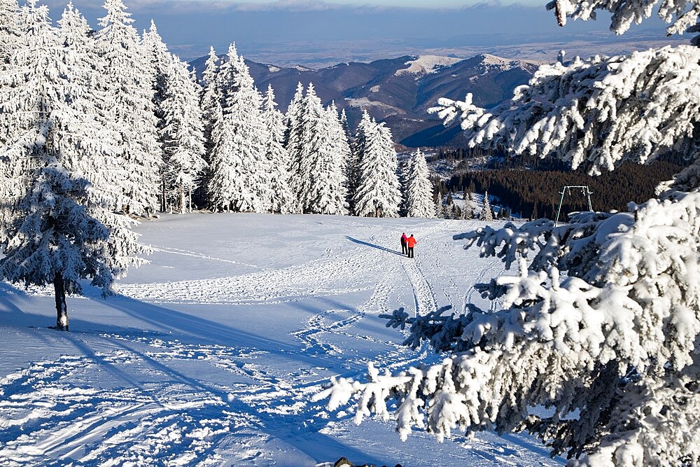 Beautiful winter landscape in Vladeasa mountains, Transylvania, Romania, Europe