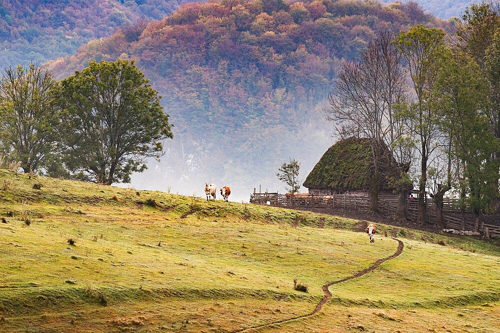 Rural landscape in Apuseni mountains, Romania, Europe