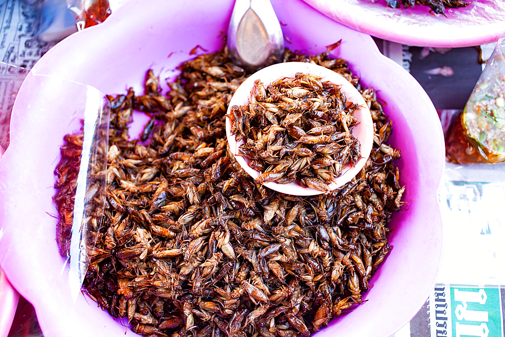 fried insects and crickets as delicacy on a market in northern Thailand