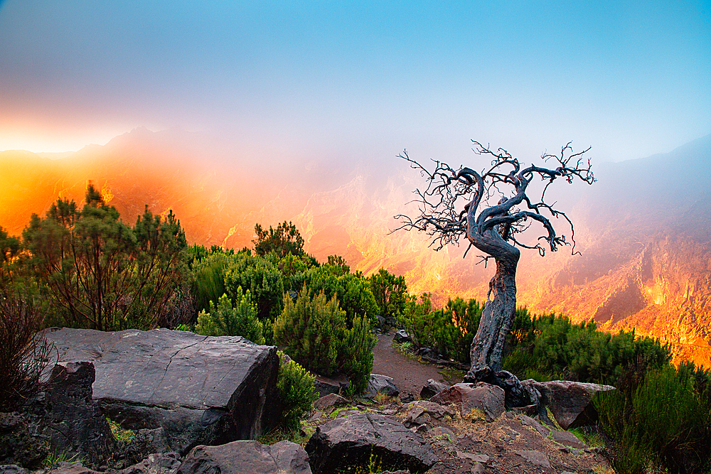 Landscape on the trek between Arieiro peak and Ruivo peak of Madeira island, Portugal