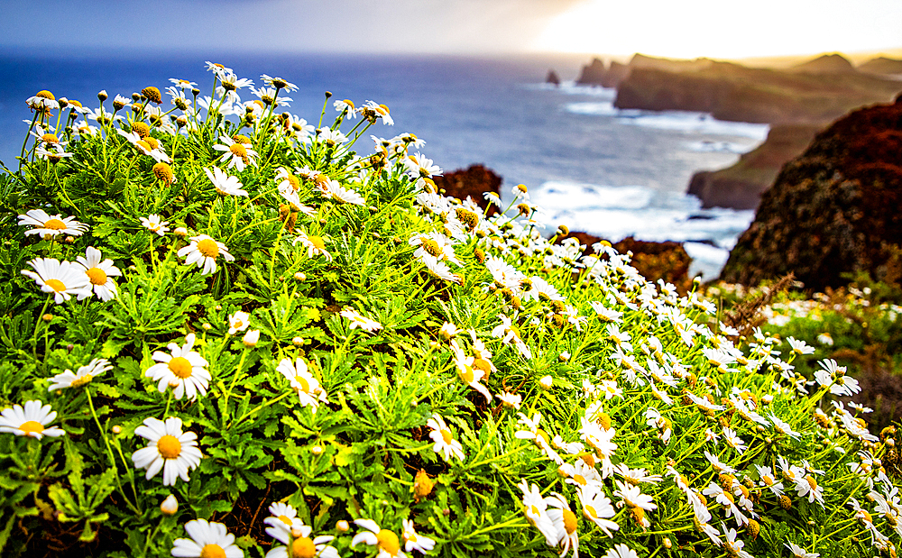 dramatic coastline with rocks of Madeira, Portugal