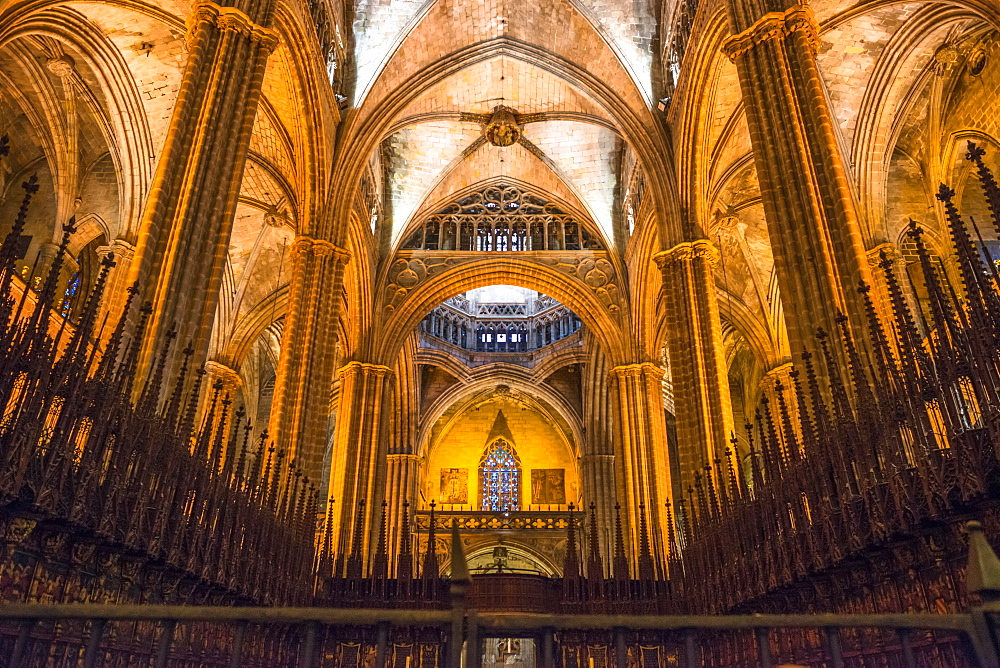 Cathedral of the Holy Cross and Saint Eulalia (Barcelona Cathedral), Barcelona, Catalonia, Spain, Europe