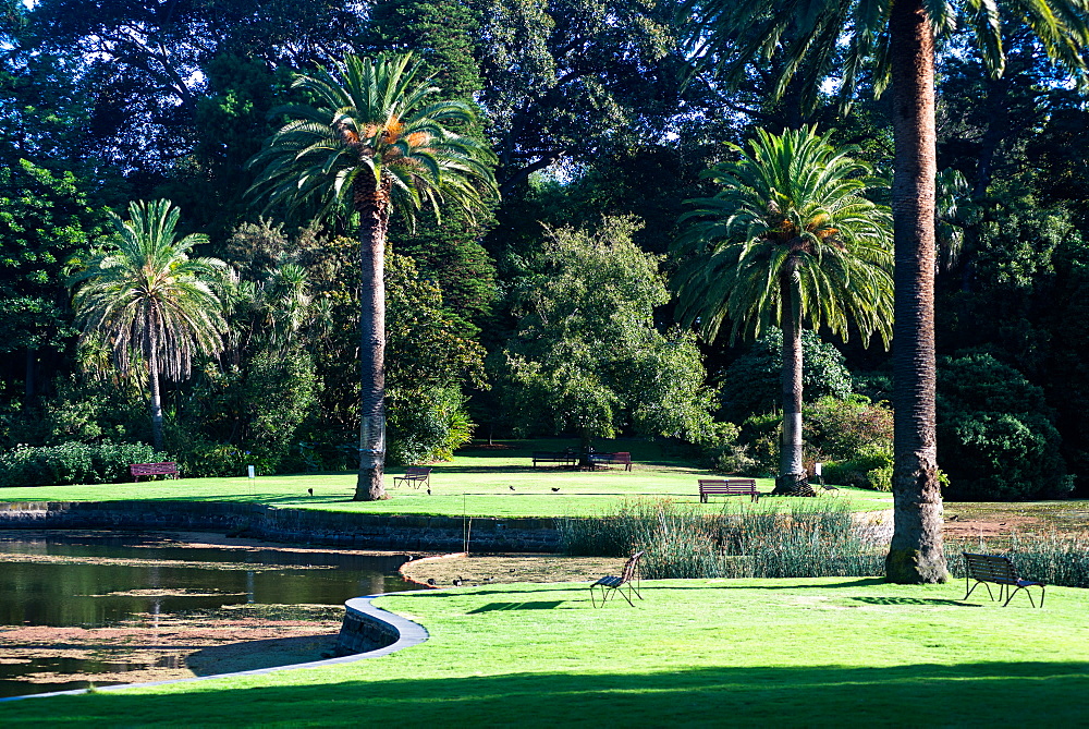 Royal Botanic Gardens, Melbourne, Victoria, Australia, Pacific