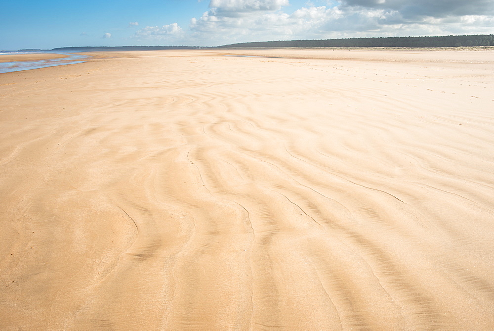 Sandy beach at Holkham Bay on the Norfolk Coast Path National Trail, Norfolk, East Anglia, England, United Kingdom, Europe