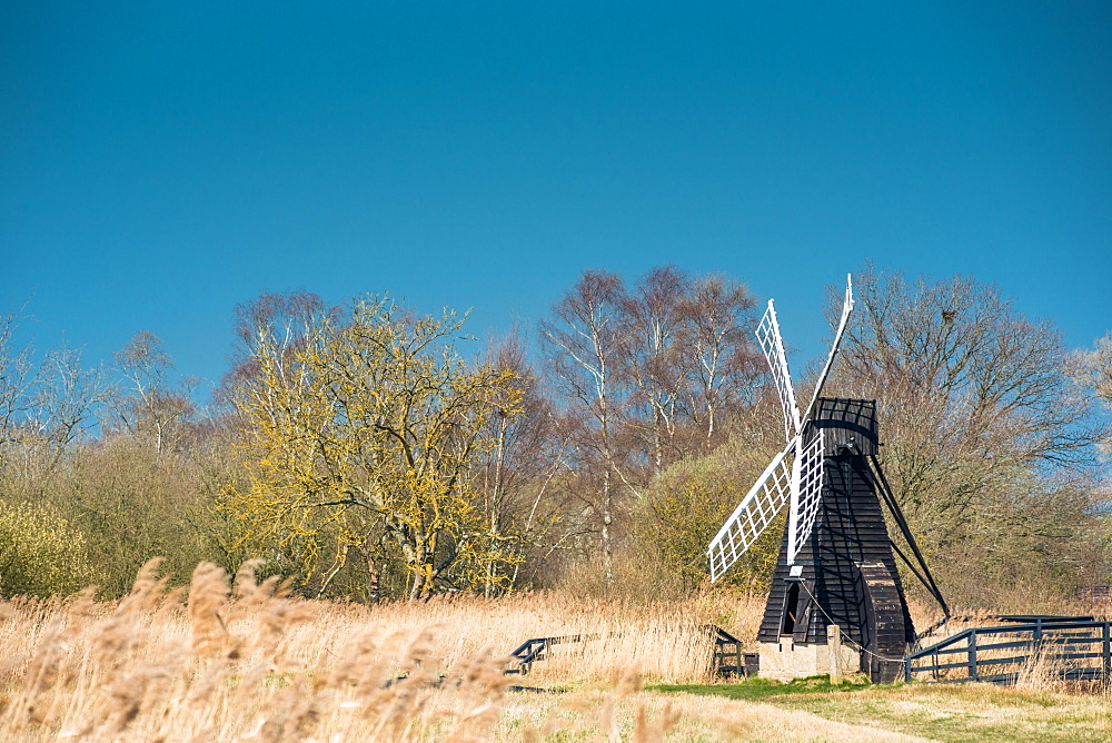 The last surviving wooden wind pump in the Fens at Wicken Fen National Nature Reserve, Cambridgeshire, East Anglia, England, United Kingdom, Europe