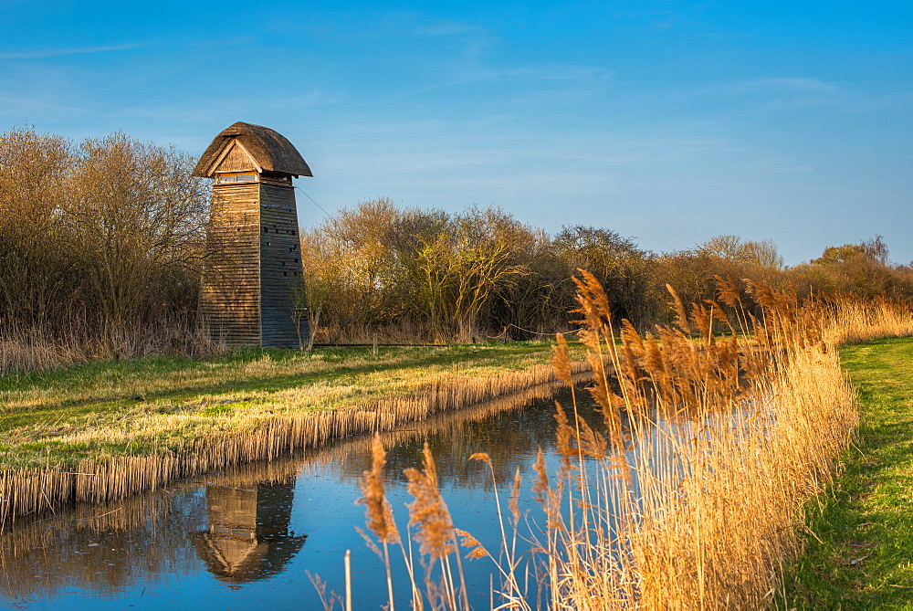 Tower hide at Wicken Fen Nature Reserve in warm evening light on Burwell Lode, Cambridgeshire, East Anglia, England, United Kingdom, Europe