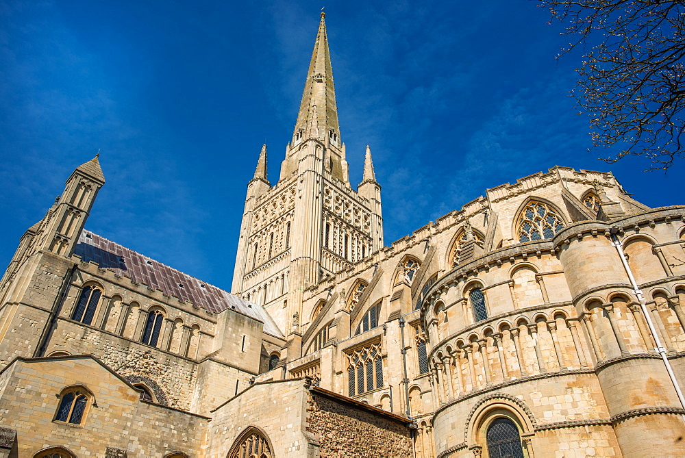 Norwich Cathedral, Norwich, Norfolk, East Anglia, England, United Kingdom, Europe